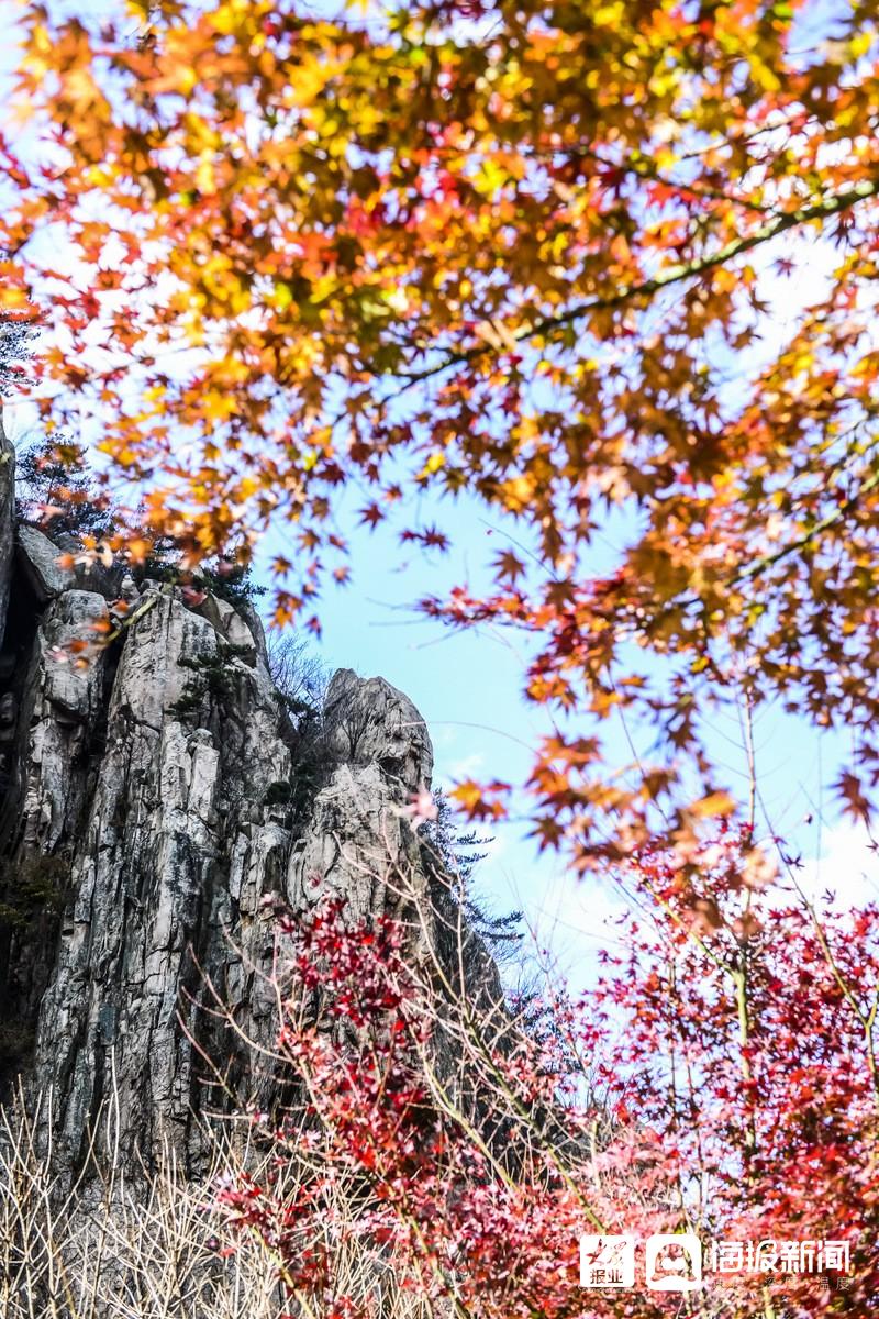 2021年11月11日,初冬时节,寒潮过后的青岛崂山北九水风景区披上了