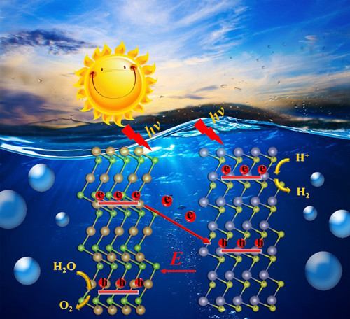 鲁东大学杨传路教授团队在太阳光催化水解产氢材料设计方面取得重要
