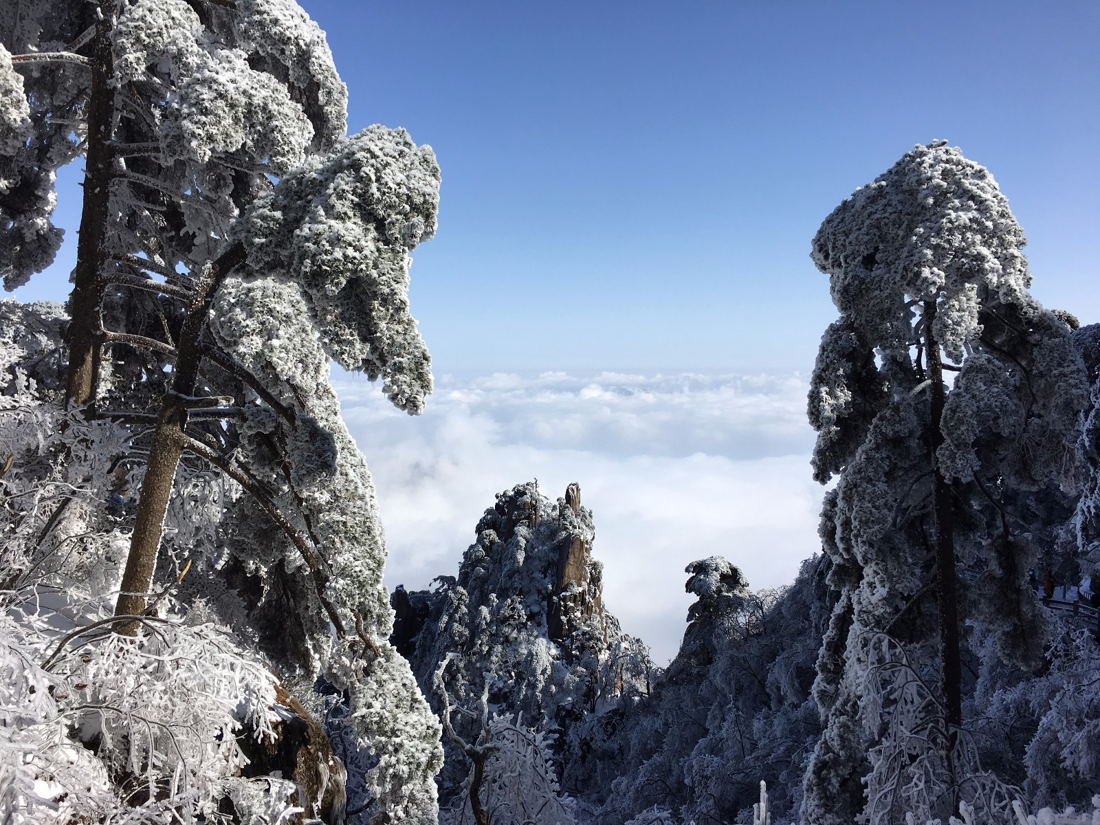 美翻了!黄山"五绝"之冬雪