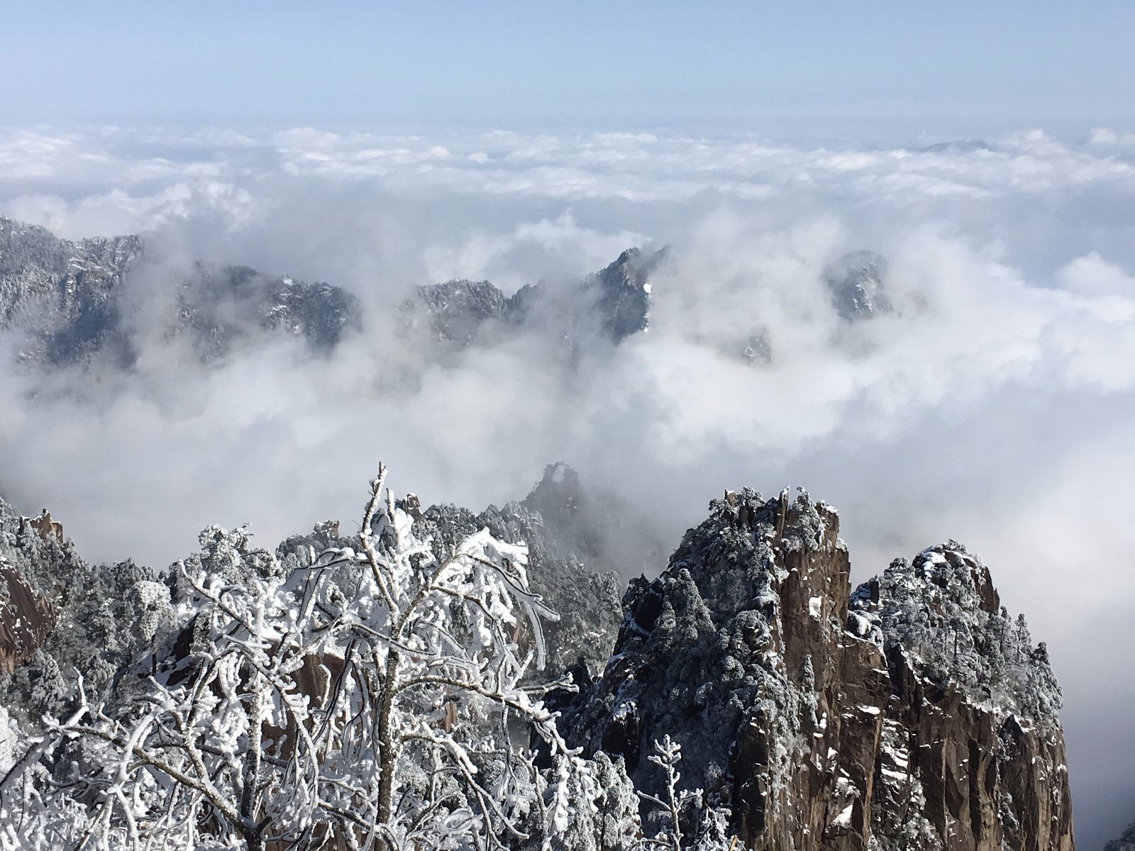 美翻了!黄山"五绝"之冬雪