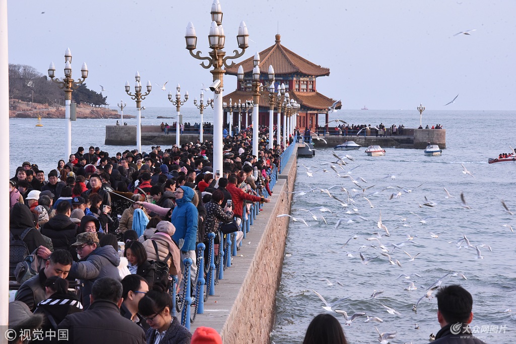 青岛:栈桥游人如织 海鸥相伴过新年