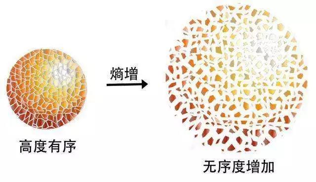 直到今天,热力学第二定律仍然巍然屹立,升华成一个不可改变的事实.