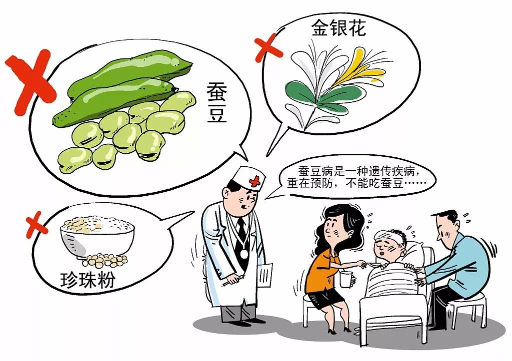 徐晓军副主任说,蚕豆病的原理是体内缺乏一种酶——6-磷酸葡萄糖
