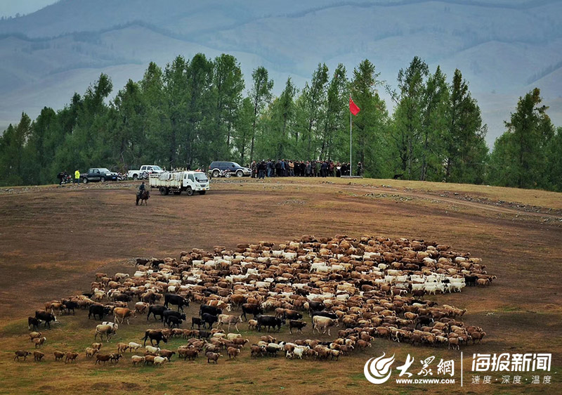 中秋节前夕,新疆阿勒泰市阿拉哈克镇比铁吾塔勒村在托勒海特夏牧场