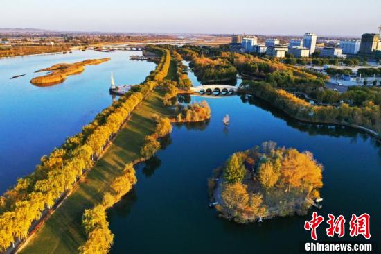 11月初,晚霞映照下的甘肃省张掖市高台县黑河国家城市湿地公园秋色