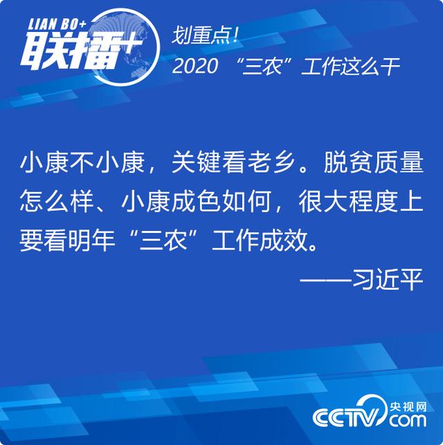 联播+丨划重点！2020“三农”工作这么干