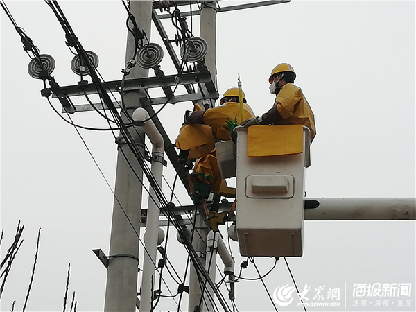 大众网·海报新闻2月11日讯(记者 姜镛 通讯员 毛利)"10千伏张南线张