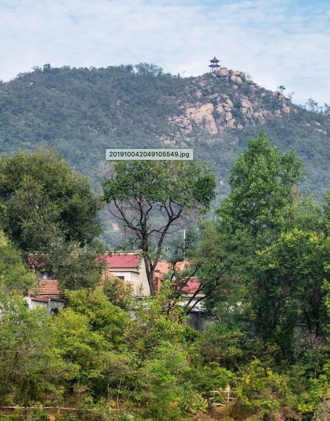 游遍山东 旅游图片新闻    "常记溪亭日暮,沉醉不知归路   兴尽晚回舟