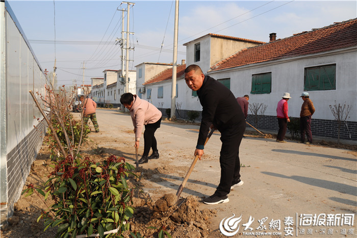 宁阳县葛石镇:优化人居环境 建设"美丽乡村"