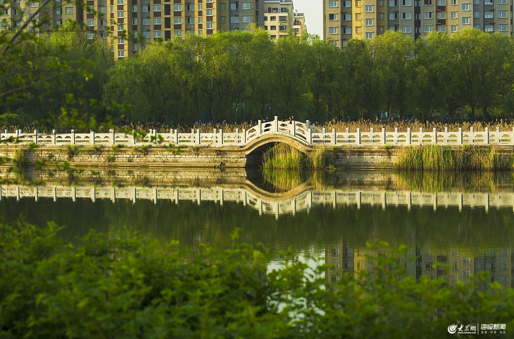 济南:航拍平阴县城森林景观