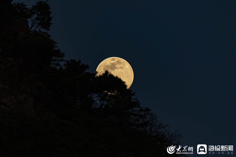 2020年5月7日,青岛,月亮映衬在山上的树木上.