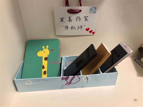 建起"养机场",力行"众厨芳",潜心"上书房" 丰奥嘉园小学开展"家庭教育