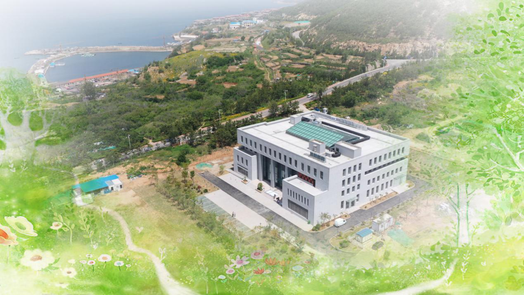 哈尔滨工业大学(威海):海空天立体对海观测技术实验