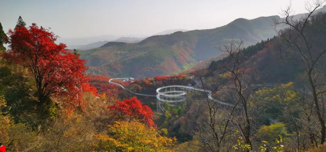 释放自驾车旅游旺盛需求,山东省自驾车旅游协会应鲁商·红叶旅游景区