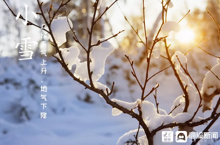 今日小雪丨念一场洁白无瑕,煮一壶诗情画意