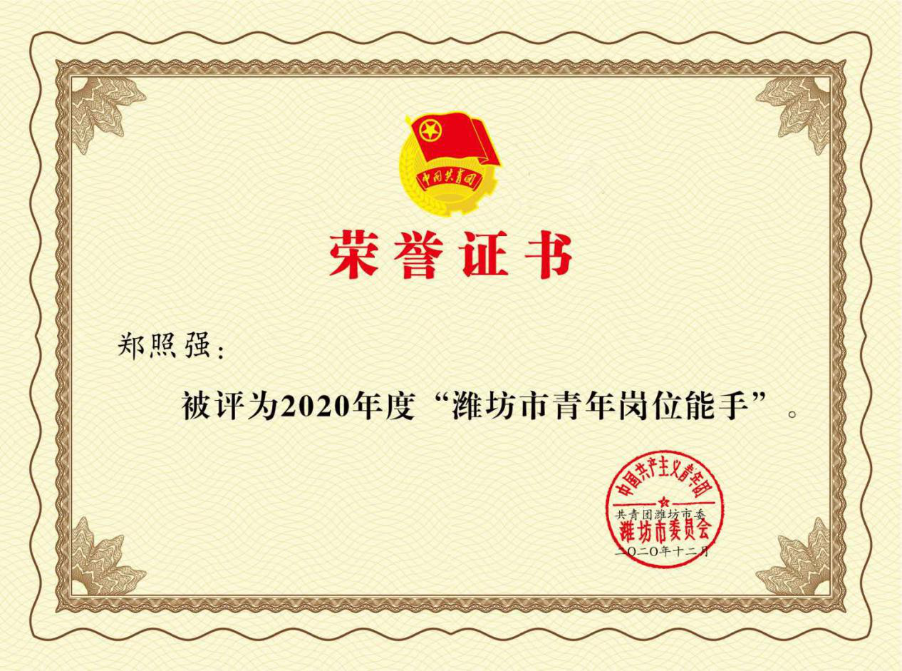 3、淄博中学毕业证代码：中学毕业证号查询