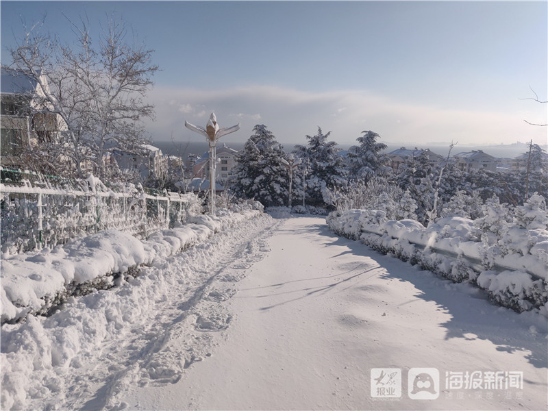 北极圈烟台分圈最美雪景图来啦