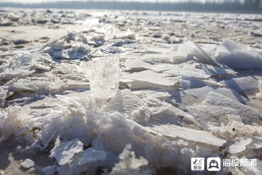 滨州:黄河凌汛冰封河面数公里 秒变冰雪世界