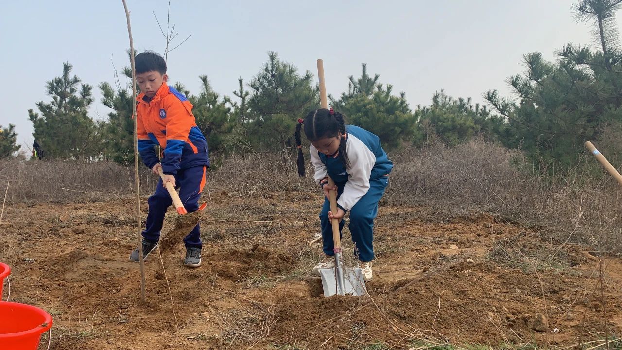 为青山添绿衣 东港区新时代文明实践公益植树节活动成功举行