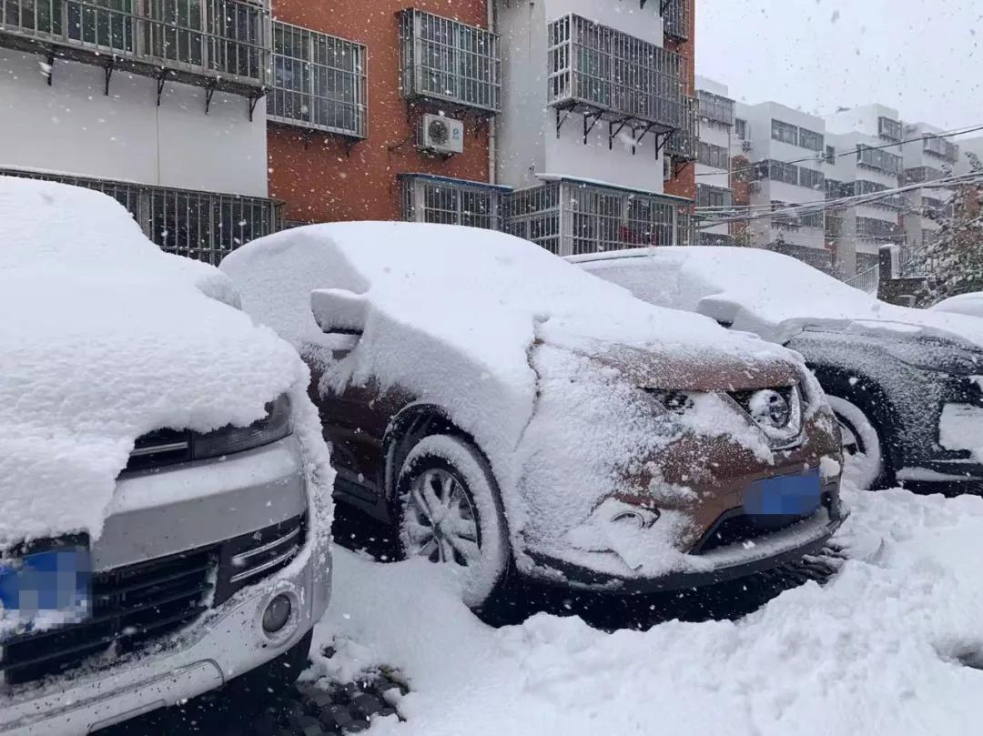 烟台终于下雪了附烟台绝美冰雪图