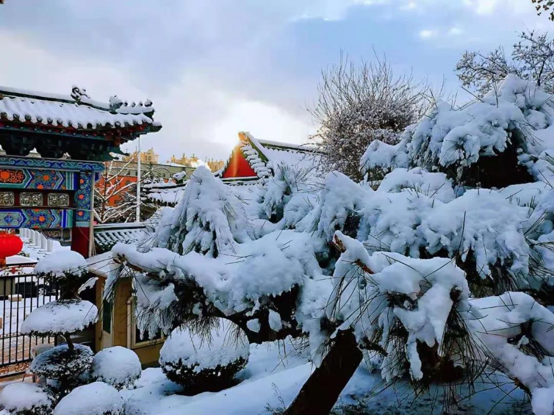 孙文潭/视觉中国图片作者:于良意/视觉中国在大雪过后,烟台部分沿海