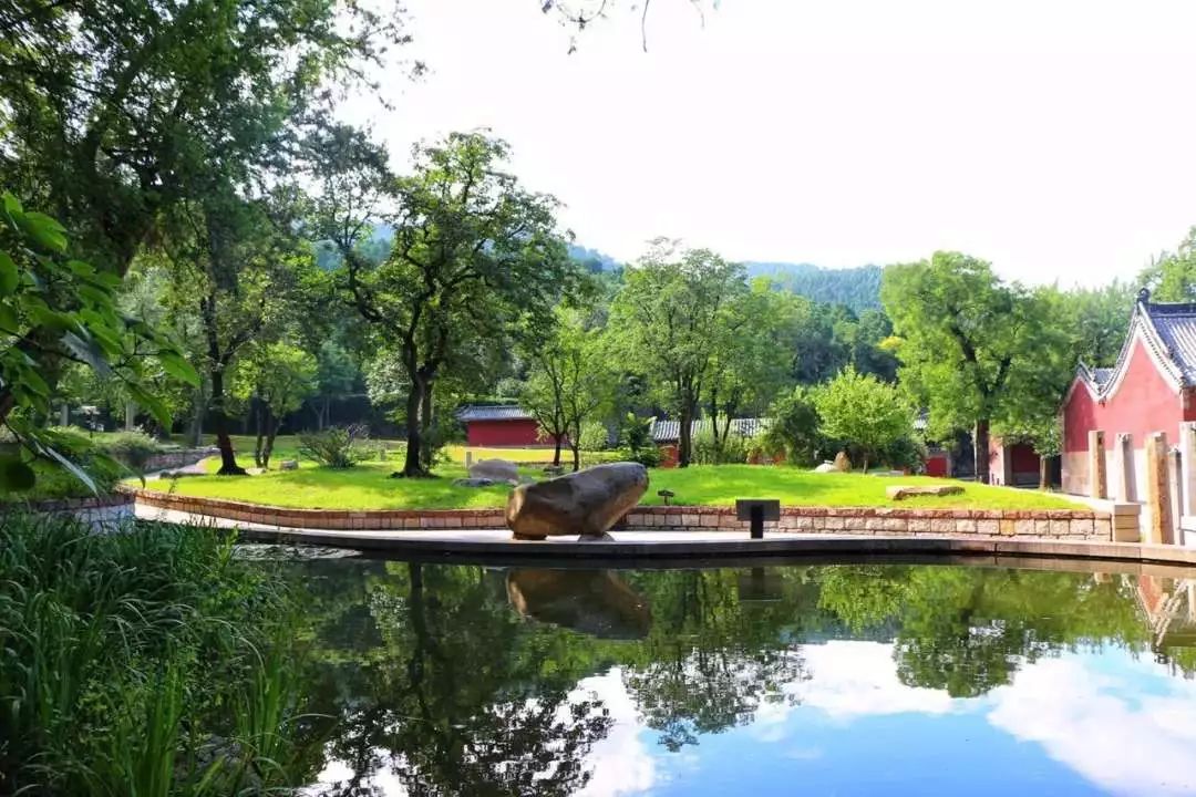 济南踏青佳地灵岩寺,五峰山景区今天恢复开放了!