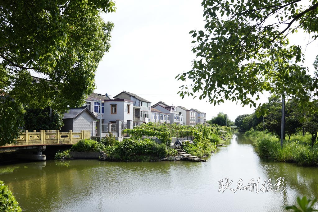 浦东新区川沙镇栏杆村小景