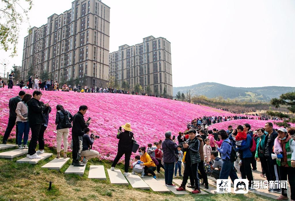 济南网红打卡地-龙洞小山坡鲜花铺地