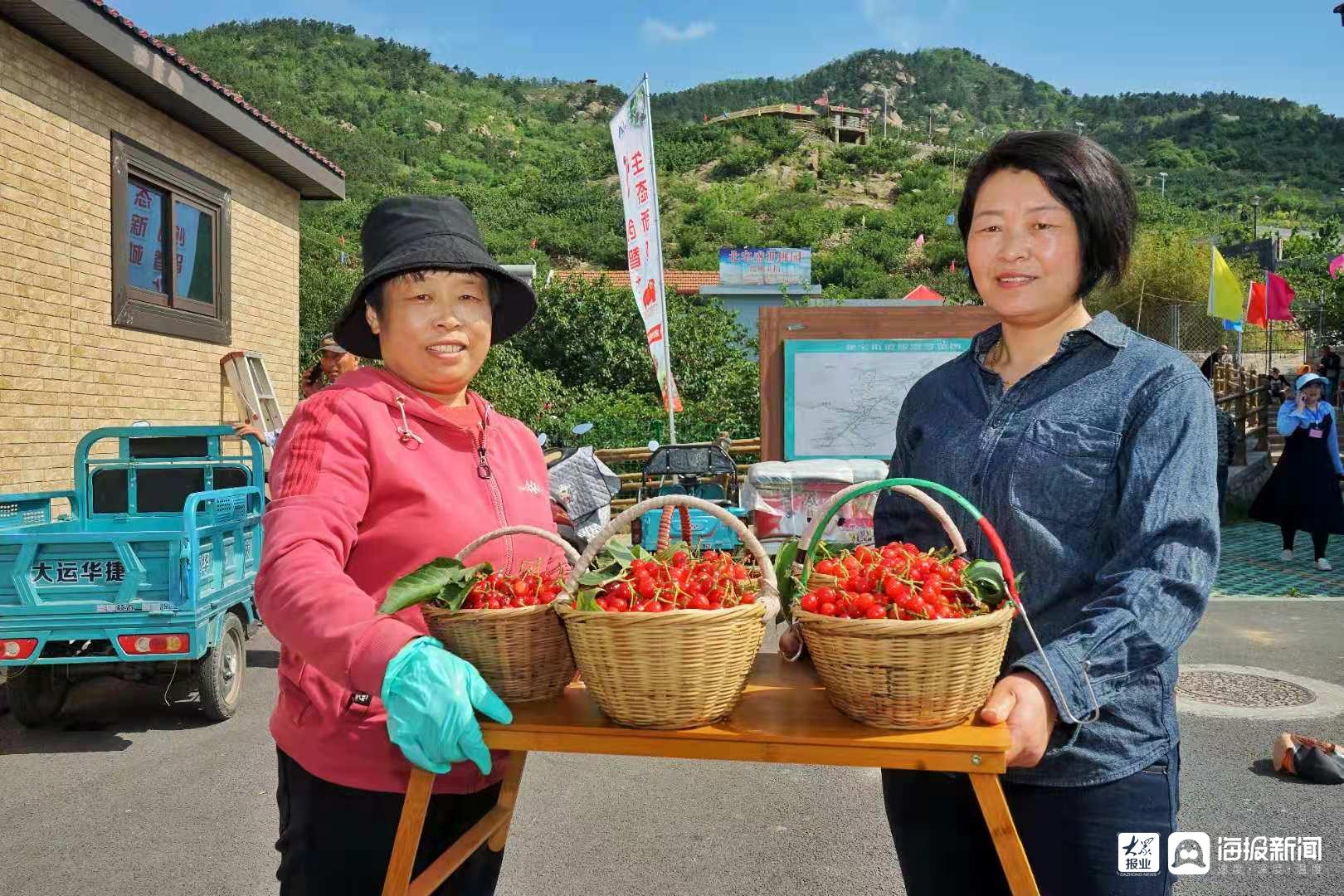 樱桃熟了!崂山北宅樱桃节开幕