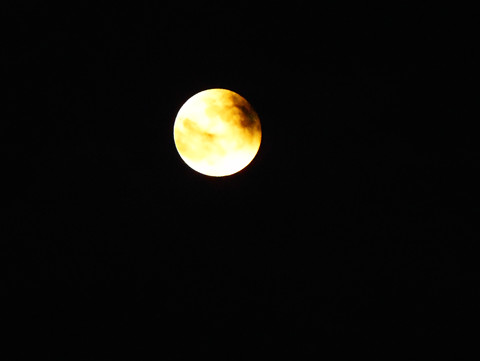 好看吗?潍坊强降雨后拍的一组月亮图像
