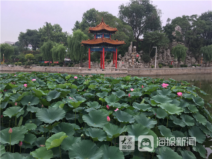 i东营影像定格广饶月河公园雨天最美瞬间