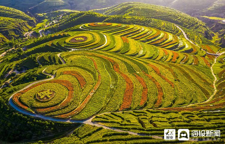 宁夏固原:金鸡坪梯田