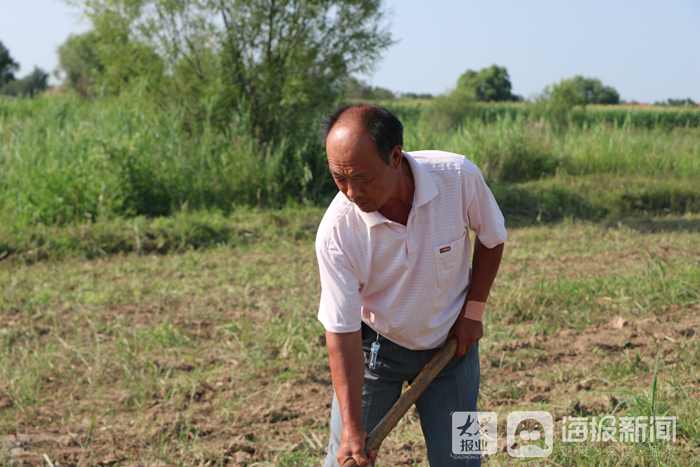 高温下的坚守 农民:用汗水守护田间地头