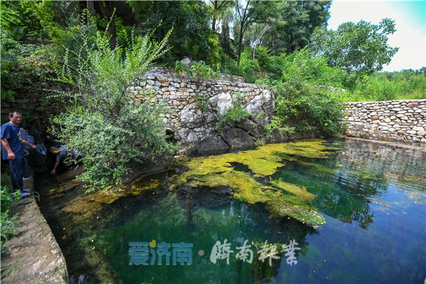 8月2日,在柳埠突泉村西南山脚下,有一处南山网红泉水取水点—凉湾泉