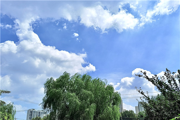 山东频道 山东新闻 今天(8月17日),泉城艳阳高照,晴空万里,天空飘着