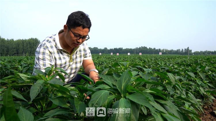 我是第一书记丨"两步"走活节水棋 德州禹城这位第一书记了不得