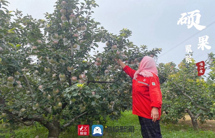 i东营·影像|硕果累累 河口人民喜迎丰收