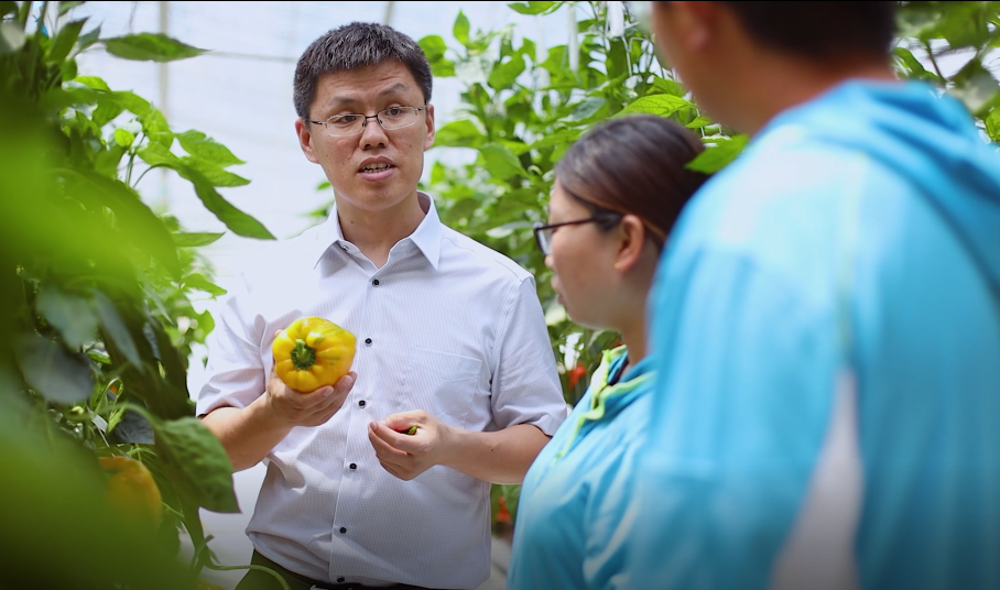 青岛农业大学张忠华教授研究成果在theplantcell发布