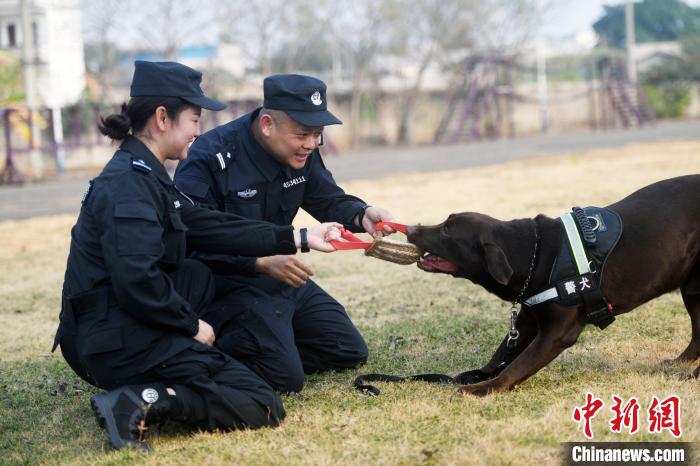 春运女警故事警察夫妻因犬相爱视警犬如亲人