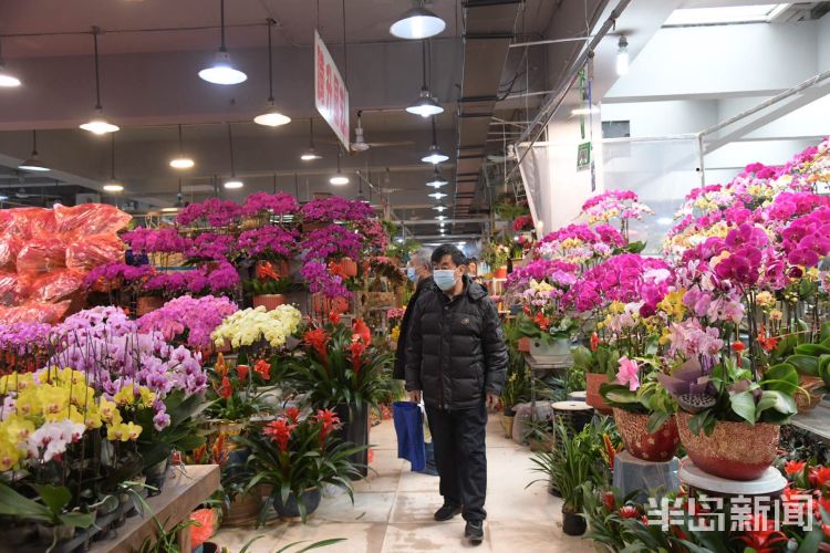 2月5日,南山花卉市场十分火爆,市民在选购各种鲜花装扮家居.