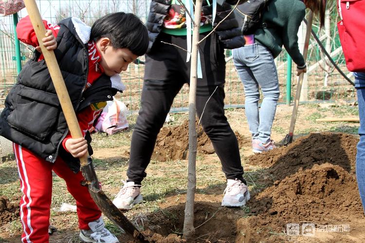 第43个植树节济南幼儿园小朋友亲手种树见证生命的萌发