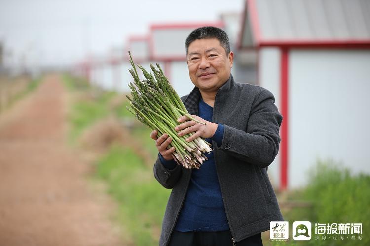 莒县小店镇小芦笋铺就致富路