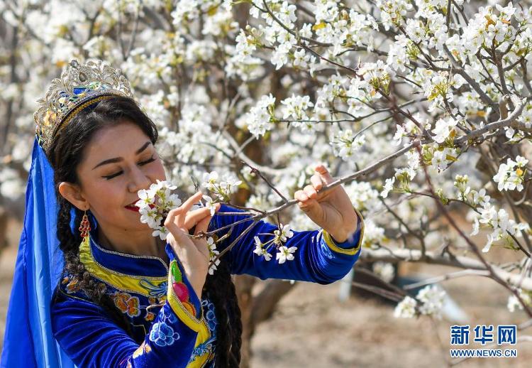 摄影师定格花容!看各地梨花绽放春满园