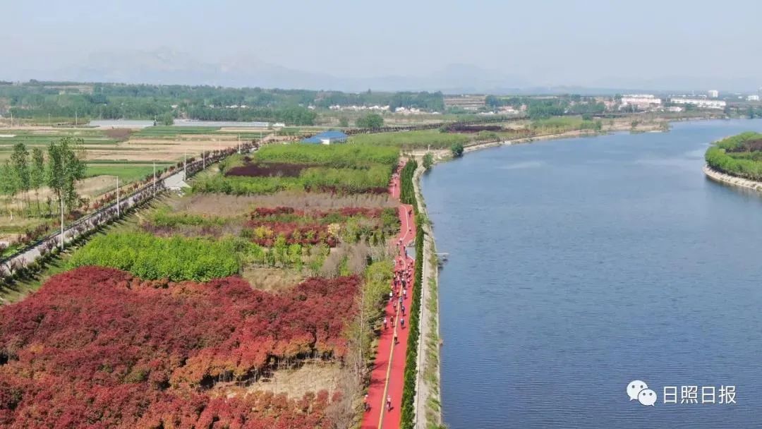 感知日照丨城市绿道 日照"生态民生"新场景