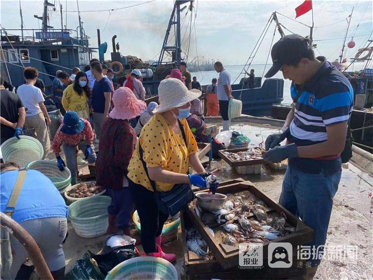 市民购买海鲜开海后,莱州的海庙港,三山岛港,朱旺港等港口千帆竞渡