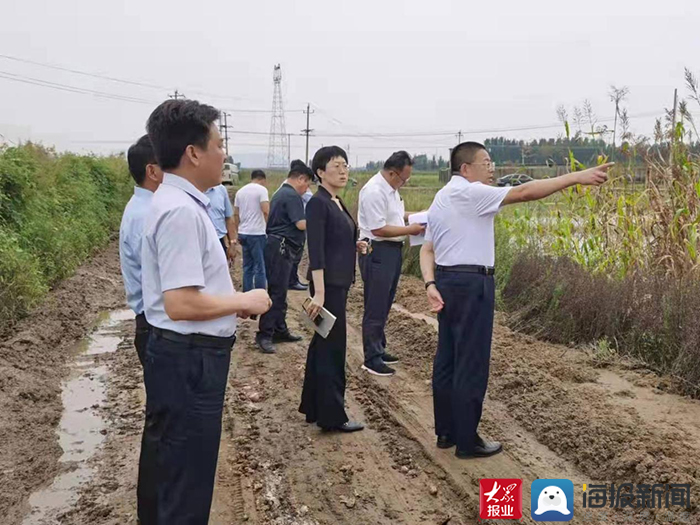 宋鸿鹏一行先后到新泰市汶南镇,岳家庄,刘杜镇,翟镇,西张庄镇,果都