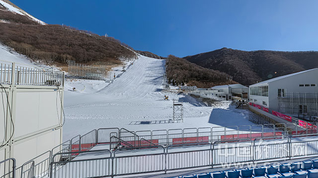 飞临探秘冬奥场馆振翅海拔两千米的雪飞燕