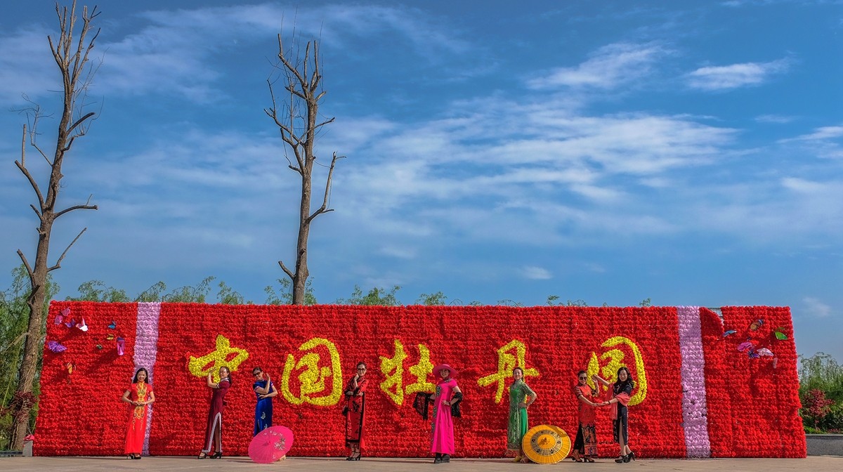 菏泽牡丹节中国牡丹园
