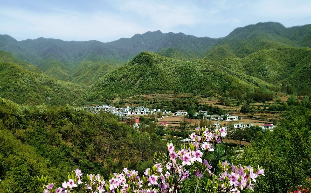 汝阳王坪图片