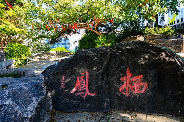 江阴南闸凤凰山图片